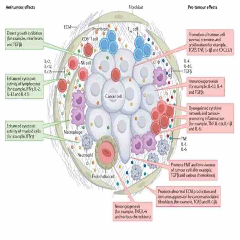 advanced medical technology cytokines rapid test kits