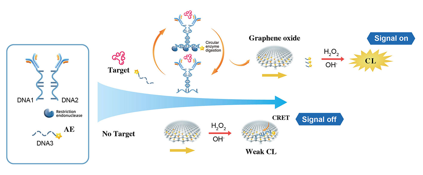 CRET principle CRET principle